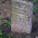 Adam Rees Photo 13