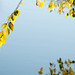 Henry Stern Photo 32