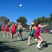 Alyson Ball Photo 10