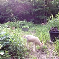 Martin Robillard Photo 31