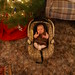 Taya Cook Photo 14