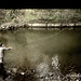 Deborah Trout Photo 17