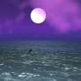 Scott Colson Photo 34