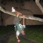 Julian Salas Photo 4