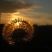 Micheal Rich Photo 19