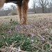 Heather Welsh Photo 12