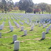 Howard Weinberger Photo 6