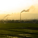 Dennis Stack Photo 15