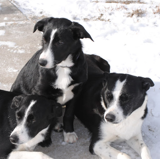 Jeannine Jones Photo 16