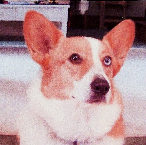 Larry Fields Photo 5