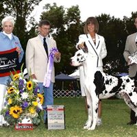 Cynthia Hurley Photo 42
