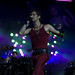 Stephen Farrell Photo 31