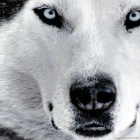 April Yazzie Photo 1