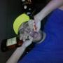 Anthony Crow Photo 22