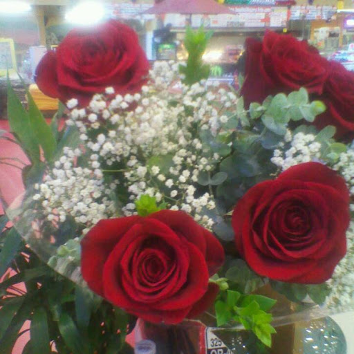 Teresa Maciel Photo 8