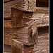 Dan Beam Photo 16