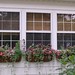 Debbie Denning Photo 16
