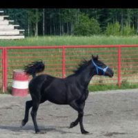 Brenda Bushner Photo 2
