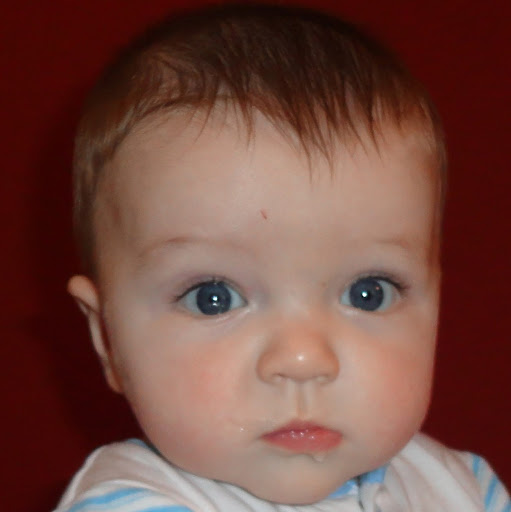 Andrea Chipman Photo 2