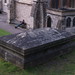 Shelly Godwin Photo 10