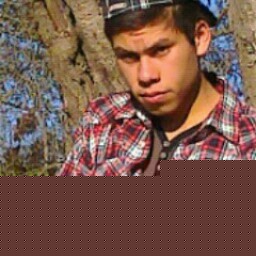 Nikolas Torres Photo 28