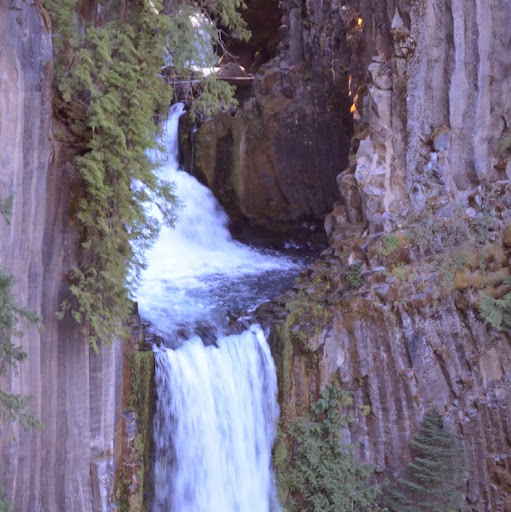 Janet Walton Photo 29