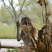 Brittany Burns Photo 22