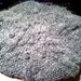 Joann Gray Photo 23