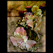 Martha Flores Photo 14