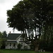 Adelaide Driscoll Photo 3