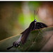 Michelle Popp Photo 13