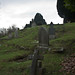 Mary Kavanagh Photo 19