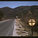 Virginia Cross Photo 13