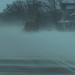 Amy Freund Photo 14