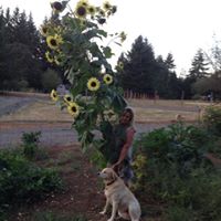 Debra Kent Photo 12