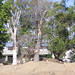 Bryan Albers Photo 13