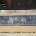 Mary Cassin Photo 12