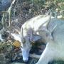 Casey Middleton Photo 15