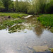 Helen Brooks Photo 11