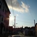 Teresa Chestnut Photo 7