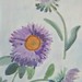 Lisa Culpepper Photo 13