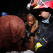 Gerald Ayers Photo 16