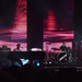 Rodger Simon Photo 9