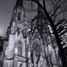 Mark Diller Photo 18
