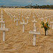 Barbara West Photo 8