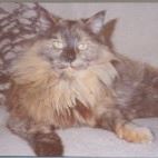 Frank Simon Photo 35