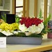 Deborah Prescott Photo 4