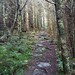 Alice Camp Photo 18