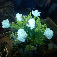 Debbie Workman Photo 10