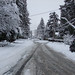 Patricia Downs Photo 15